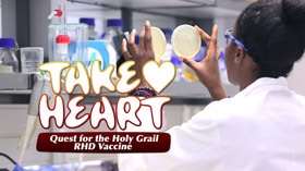 Quest for the Holy Grail RHD Vaccine